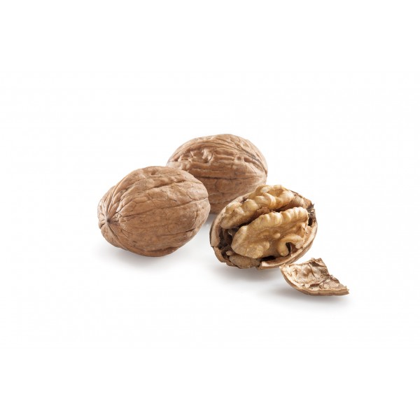 raw - dried nuts - WALNUTS IN SHELL RAW NUTS